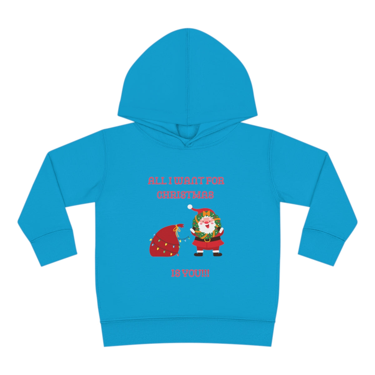 All I Want For Christmas Is You!!!Toddler Pullover Fleece Hoodie