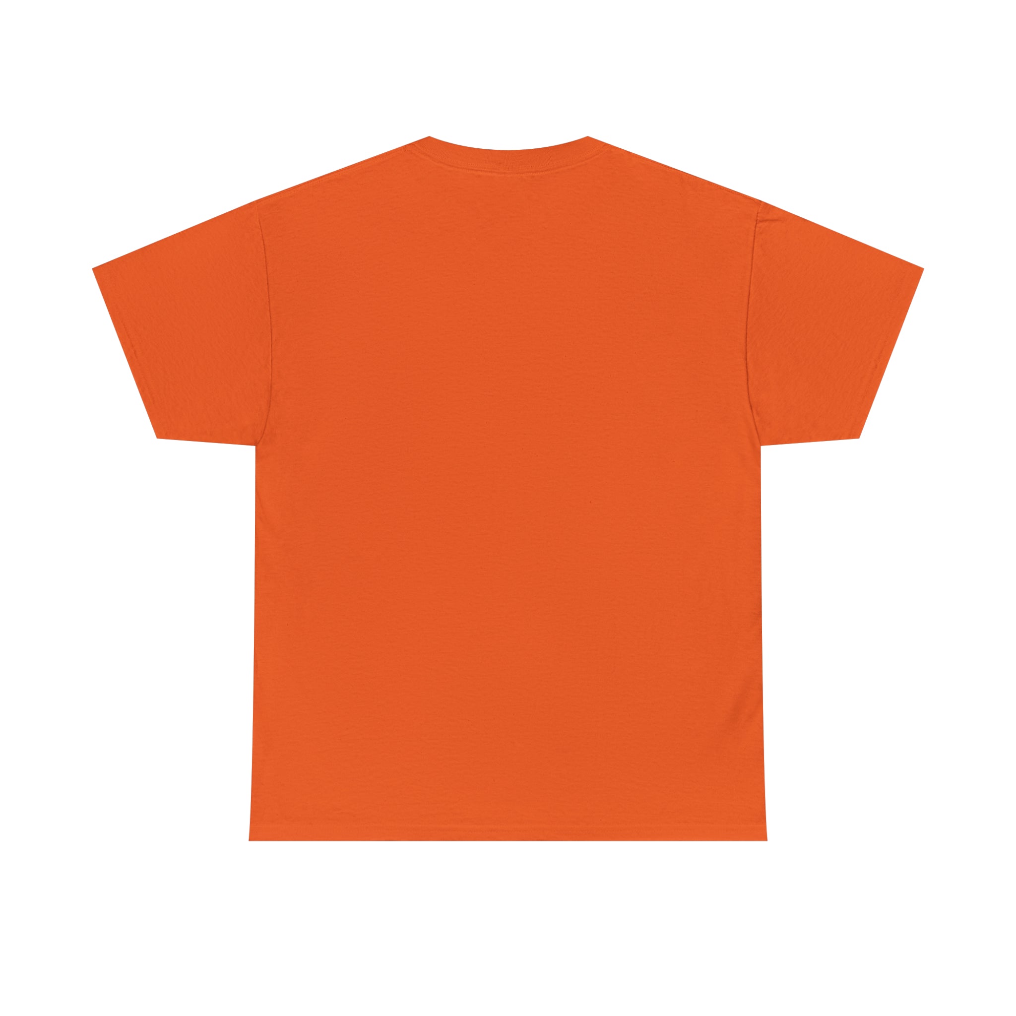 Memorial Day Heroes Unisex Heavy Cotton Tee