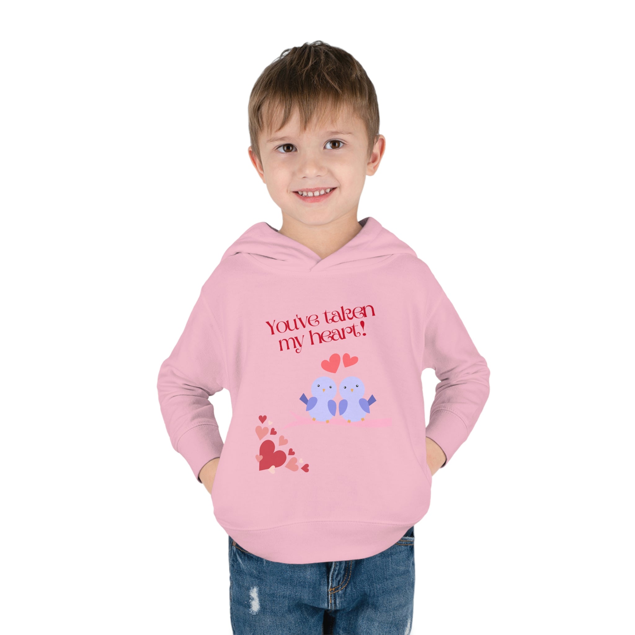 You've Taken My Heart! Toddler Pullover Fleece Hoodie