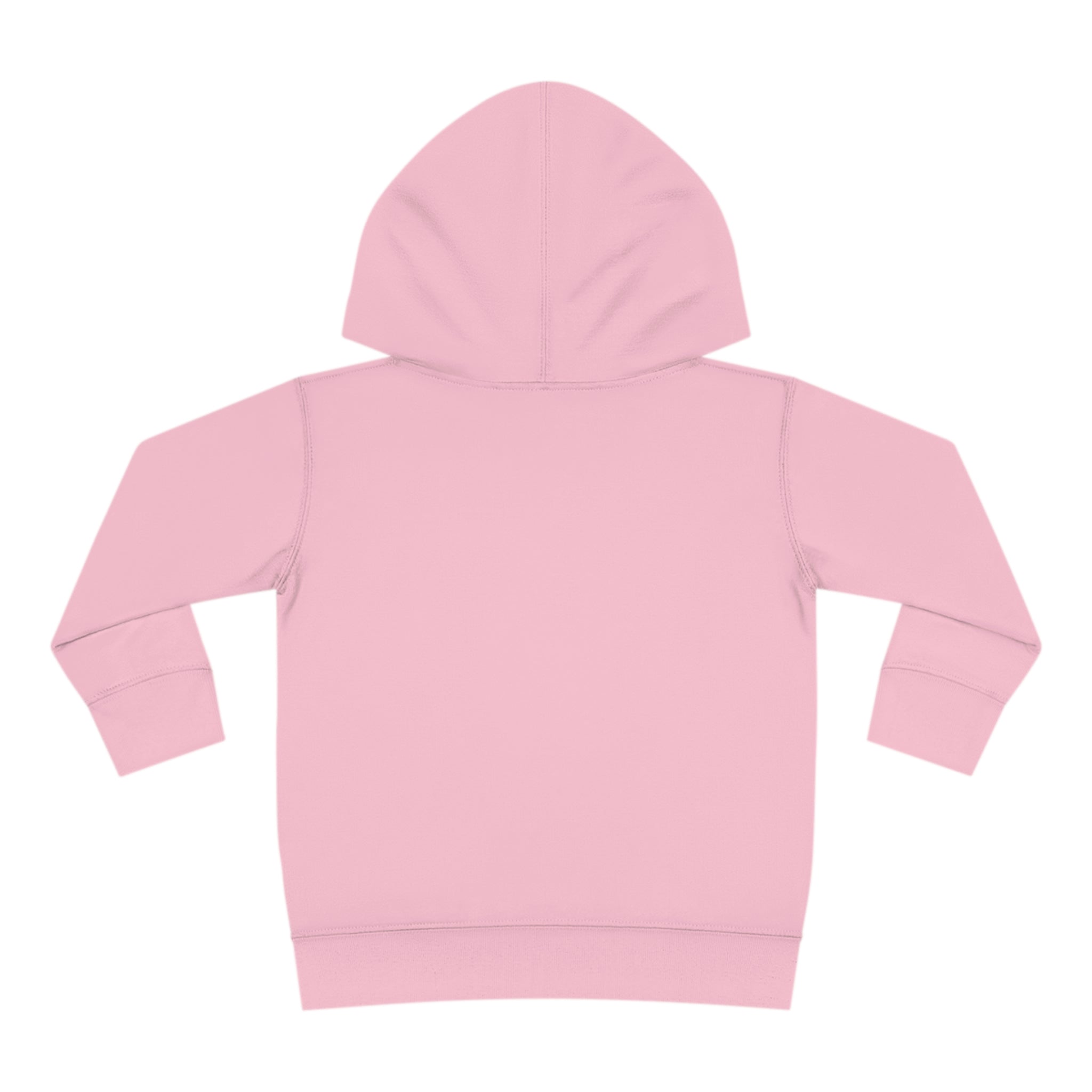 Happy Easter Bunny Toddler Pullover Fleece Hoodie