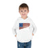 USA Flag Toddler Pullover Fleece Hoodie