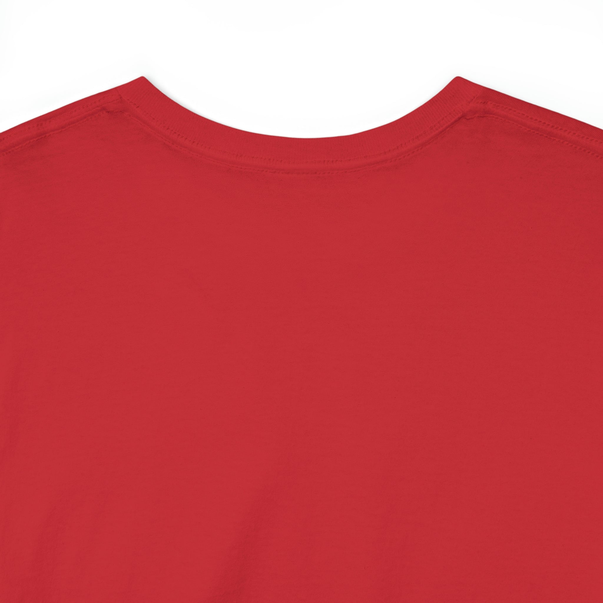 Gnome Happy Spring Unisex Heavy Cotton Tee