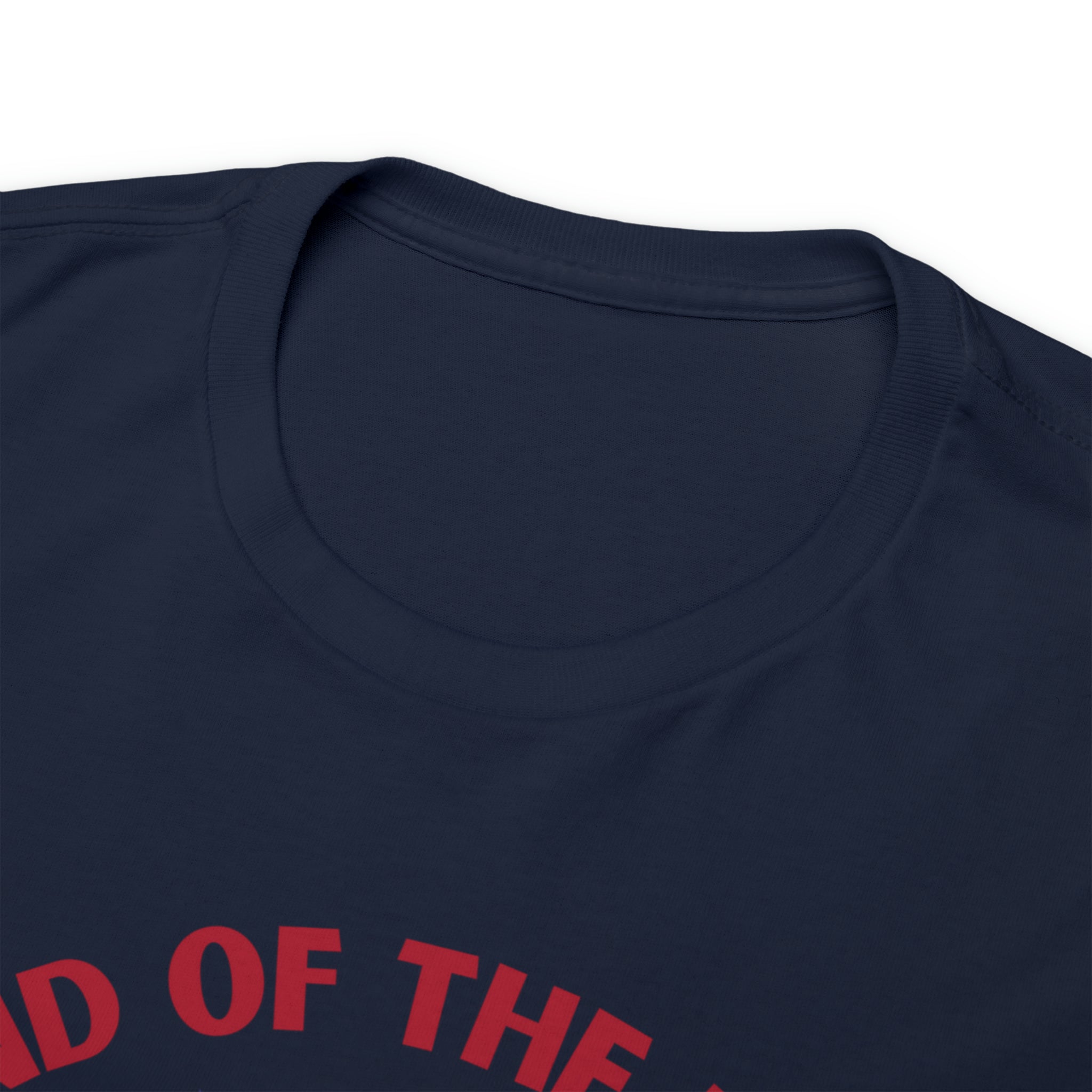 Memorial Day Land of The Free Unisex Heavy Cotton Tee