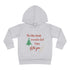 It's The Most Wonderful Time Of The Year Toddler Pullover Fleece Hoodie