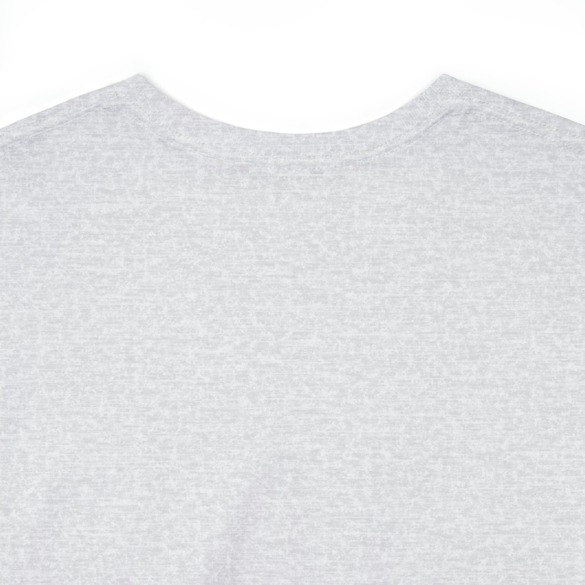 Gnome Happy Spring Unisex Heavy Cotton Tee